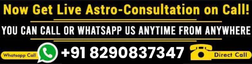 Astrologer Dev Raj Shastri Ji +91-8290837347